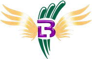 Limerick Blasters logo